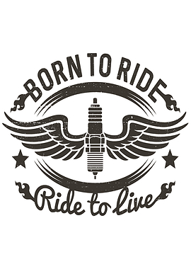 Motorcycle Motorcyclist