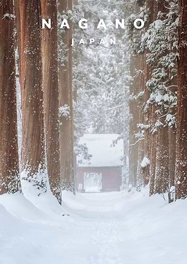 Nagano forest