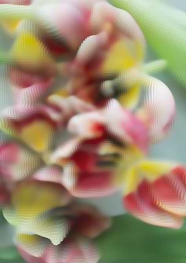 Abstract tulips bouquet