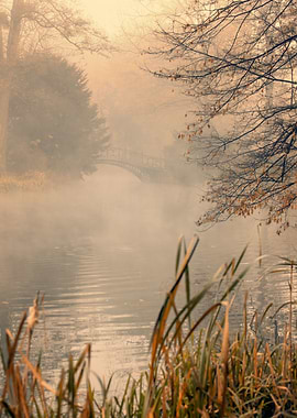 Autumn morning lake park