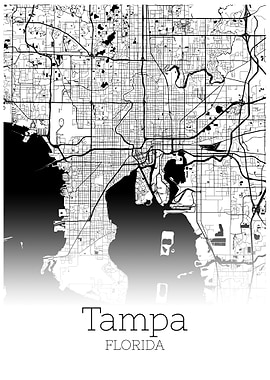 Tampa Florida city map