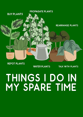 Plants Leisure Potted