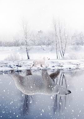 Polar Bear Childhood