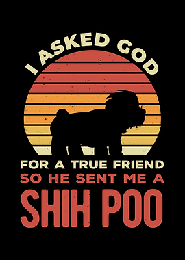 Shih Poo Funny