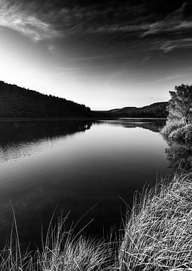 Natural parks Park Lake