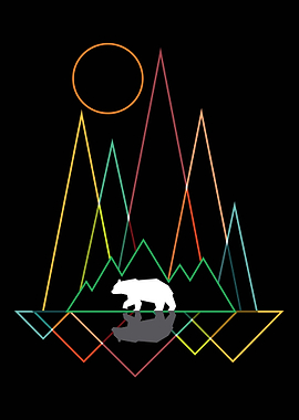 The Bear Geometry