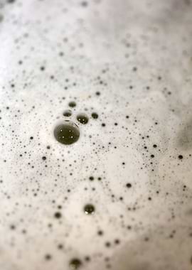 Bubbles macro background