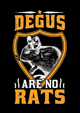 Degus Are Not Rats Rodents