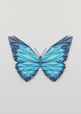 butterfly