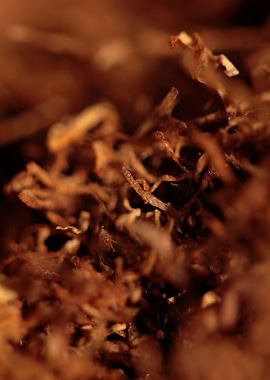 Rolling tobacco background