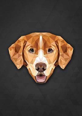 Polygon Dog