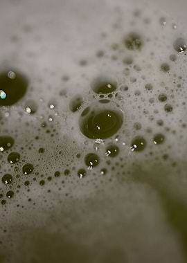 Bubbles macro background