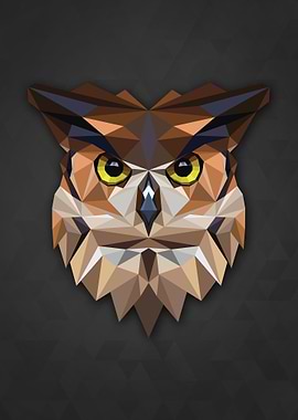 Polygon Owl