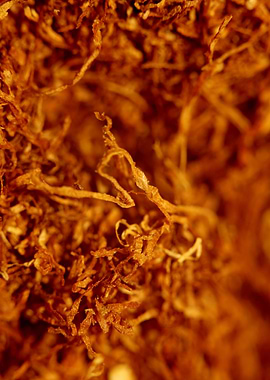 Rolling tobacco background
