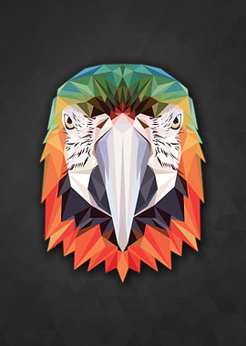 Polygon Parrot