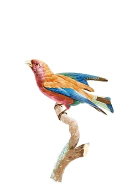 Vintage Violet Roller Bird