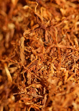 Rolling tobacco background