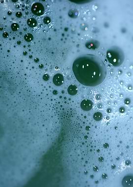 Bubbles macro background