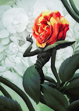 Alice in Wonderland Rose