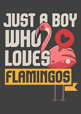 Just A Boy Who Loves