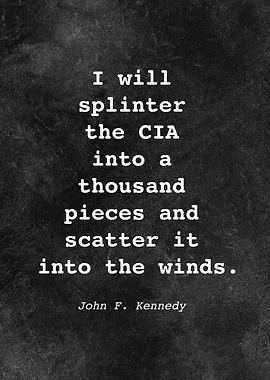John F Kennedy Quote D028