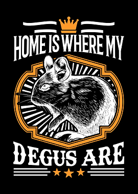 Home Is Where My Degus Are