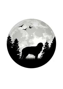 Hovawart Moon Dog Owner
