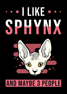 Cat Sphynx