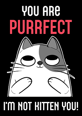 Purrfect Kitten Sweet Boyf