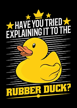 Developer Programmer