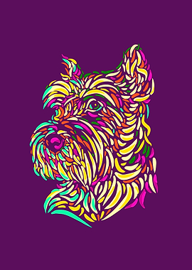 Yorkshire terrier colors