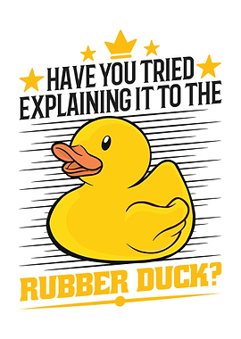 Developer Programmer