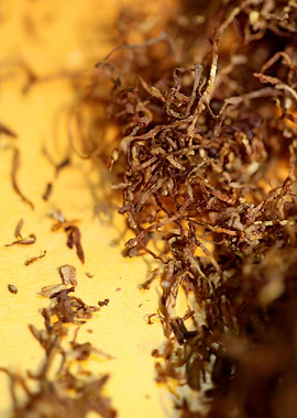 Rolling tobacco leaves
