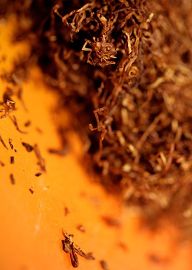 Rolling tobacco leaves