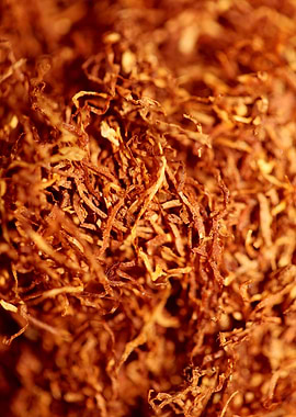 Rolling tobacco leaves
