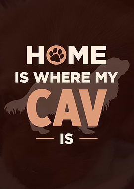 King Charles Cavalier Dog