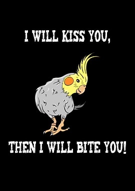 COCKATIEL Birds Funny