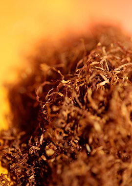 Rolling tobacco leaves