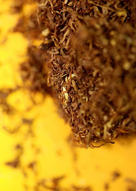 Rolling tobacco leaves