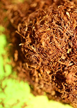 Rolling tobacco leaves
