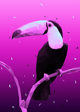 bird toucan low poly
