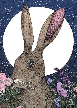 The Hare and the Moon