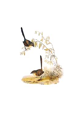 Vintage Textile Wren Bird