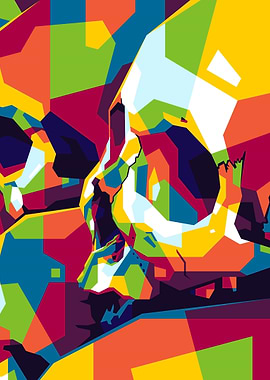 Colorful Skulls Head