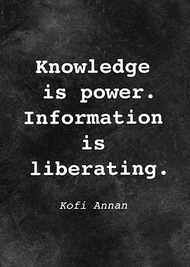 Kofi Annan Quote D028