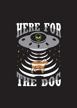 Here Dog Ufo