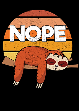 Sloth While Sleeping