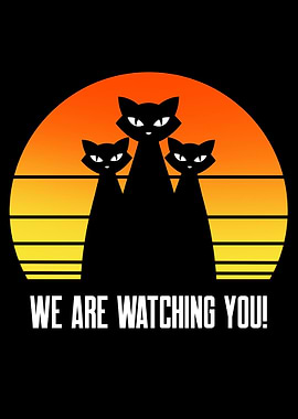 Funny Black Cats Quotes