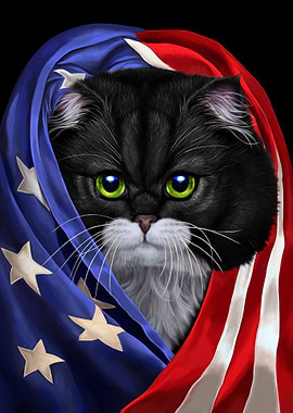 Tuxedo Cat USA Patriot