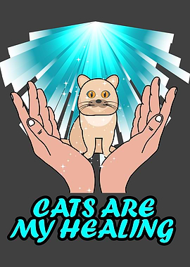 CATS QUOTE CATS ARE MY